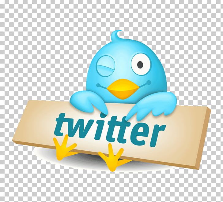 Social Media Twitter Logo Social Network Animation PNG, Clipart, Alovera, Animation, Beak, Bird, English Language Free PNG Download