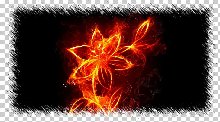 Desktop Fire Flame High-definition Television Flower PNG, Clipart, 4k Resolution, 720p, 1080p, 2160p, Burn Free PNG Download