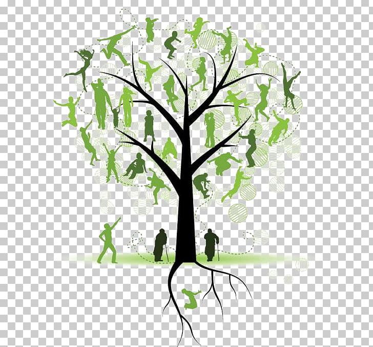 Family Tree Genealogy PNG, Clipart, Animals, Branch, Character, Christmas Tree, Decoration Free PNG Download