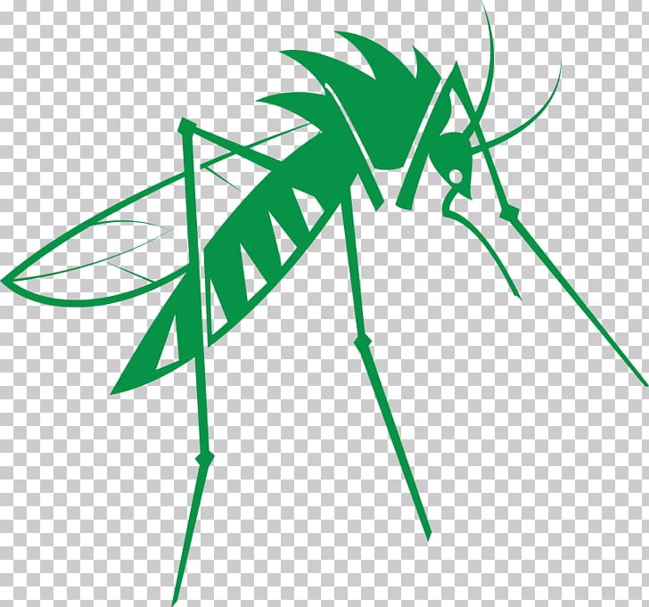 Household Insect Repellents Moscow Circle Of Light Festival Asian Tiger Mosquito Mosquito Control PNG, Clipart, Aedes, Angle, Area, Artwork, Blood Free PNG Download