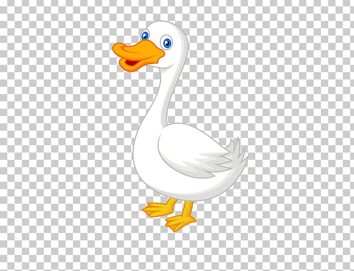 American Pekin Duck Animal PNG, Clipart, American Pekin, Animals, Beak, Bird, Cartoon Duck Free PNG Download