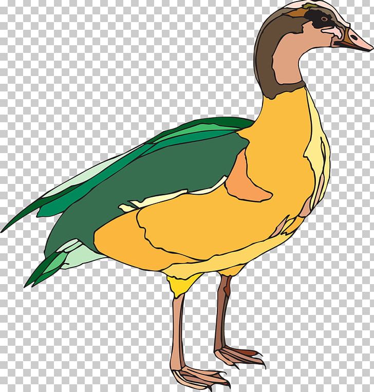 Domestic Duck Bird Green PNG, Clipart, Anatidae, Animals, Beak, Bird, Domestic Duck Free PNG Download