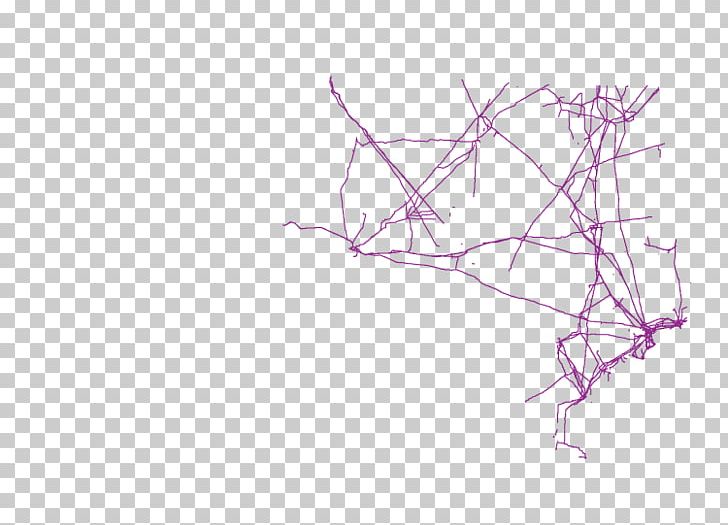 Product Design Drawing Line Pink M PNG, Clipart, Angle, Art, Branch, Drawing, Line Free PNG Download