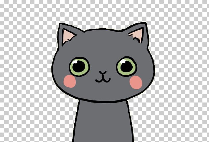 Whiskers Korat Förutbetald Kostnad Zhil'ya Domestic Short-haired Cat PNG, Clipart,  Free PNG Download