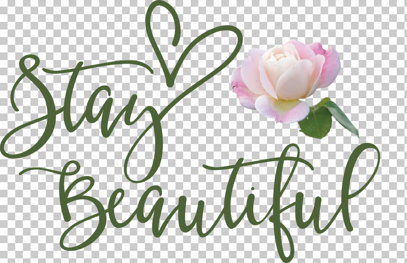Stay Beautiful Fashion PNG, Clipart, Biology, Cut Flowers, Fashion, Floral Design, Flower Free PNG Download