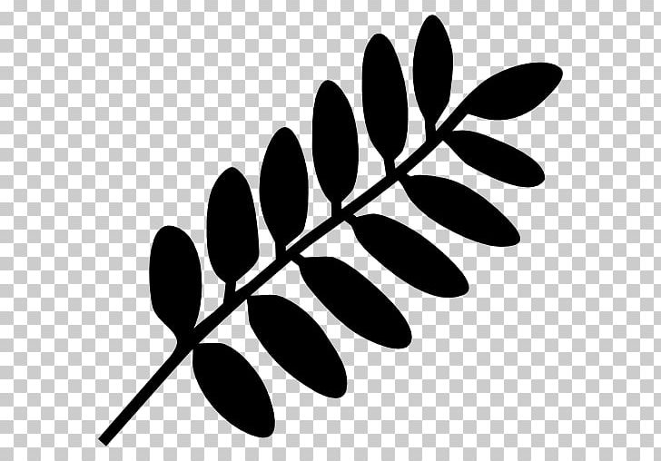 Branch Leaf Computer Icons Shape PNG, Clipart, Black And White, Branch, Computer Icons, Encapsulated Postscript, Flora Free PNG Download
