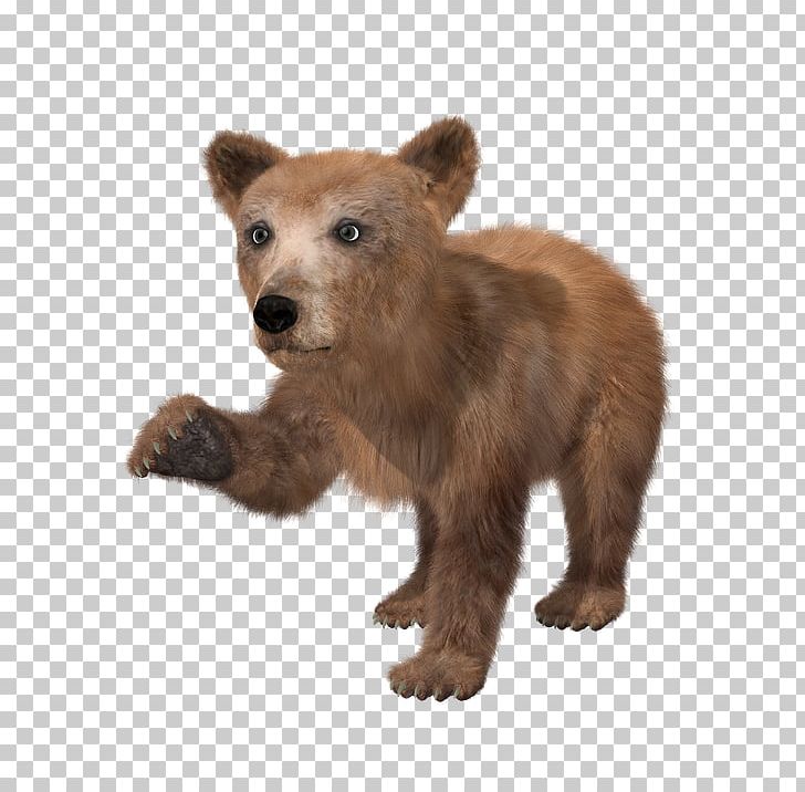 Brown Bear Polar Bear Kermode Bear Grizzly Bear PNG, Clipart, American Black Bear, Animals, Bear, Bears, Brown Bear Free PNG Download