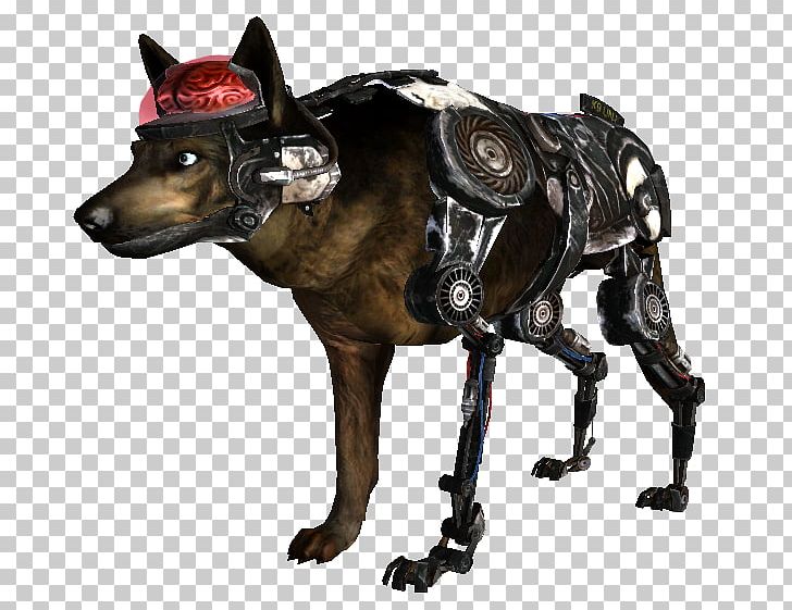 Fallout: New Vegas Fallout 3 Dog Fallout 2 PNG, Clipart, Carnivoran, Companion Dog, Cyberdog, Dog, Dog Breed Free PNG Download