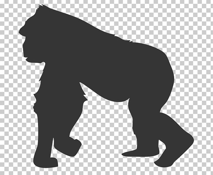 Gorilla Mammal Animal Cat T-shirt PNG, Clipart, Animal, Animals, Ape, Big Cats, Black Free PNG Download