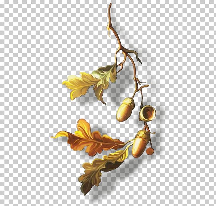 Oak Leaf Branch PNG, Clipart, Branch, Computer Icons, Leaf, Miscellaneous, Oak Free PNG Download