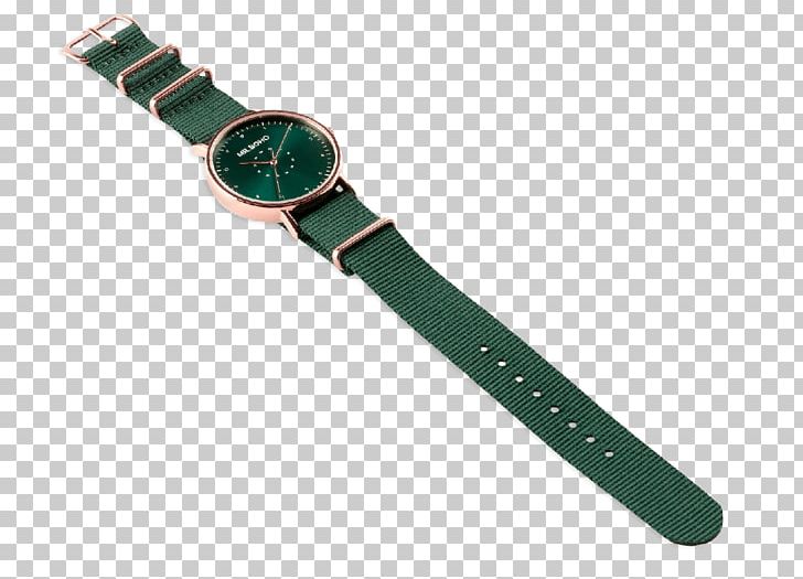 Watch Strap Metal Clothing Accessories PNG, Clipart, Alloy, Burgundy, Cactaceae, Clothing Accessories, Copper Free PNG Download