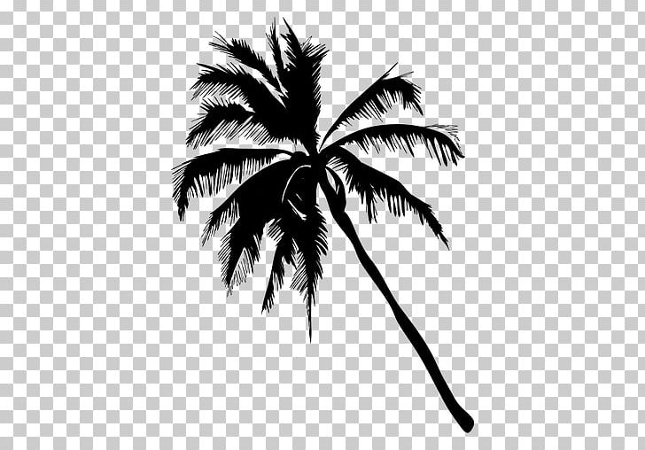 Arecaceae Silhouette PNG, Clipart, Arecaceae, Arecales, Black And White, Branch, Coconut Free PNG Download