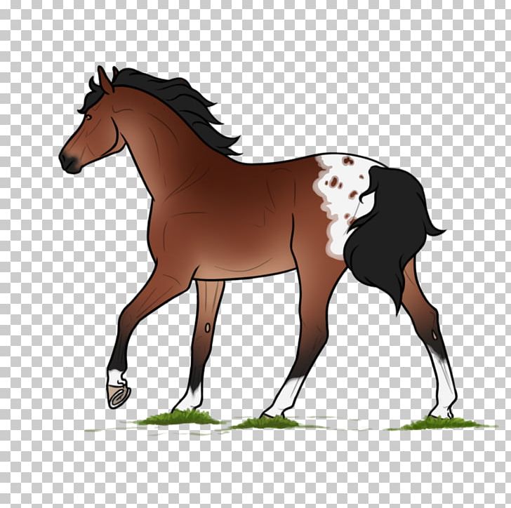 Mustang Foal Stallion Mare Bridle PNG, Clipart,  Free PNG Download