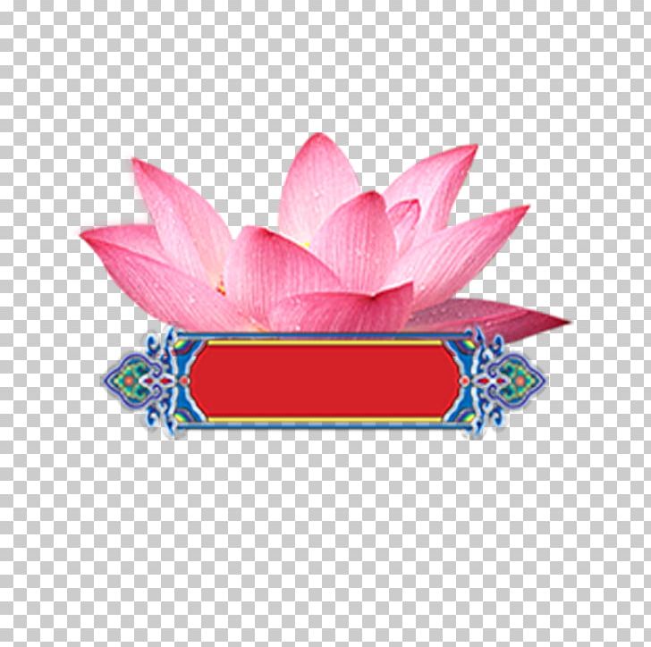 Nelumbo Nucifera Computer File PNG, Clipart, Adobe Illustrator, Channel, Download, Encapsulated Postscript, Flower Free PNG Download