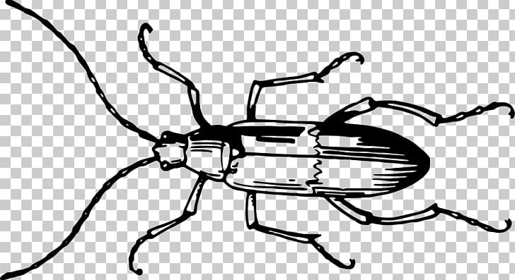 Beetle Computer Icons PNG, Clipart, Animals, Arthropod, Artwork, Auto Part, Beetle Free PNG Download