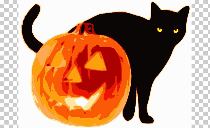 Cat Pumpkin Halloween Jack-o-lantern PNG, Clipart, Calabaza, Carnivoran, Cat, Cat Like Mammal, Cucurbita Free PNG Download
