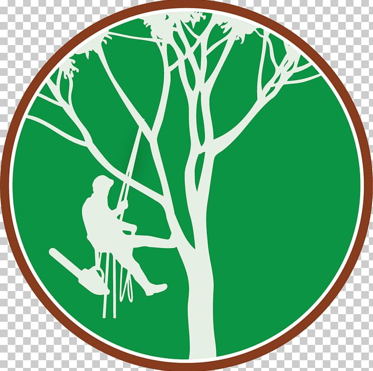 Tree Climbing Arborist Branch PNG, Clipart, Arborist, Area, Branch, Certified Arborist, Chainsaw Free PNG Download