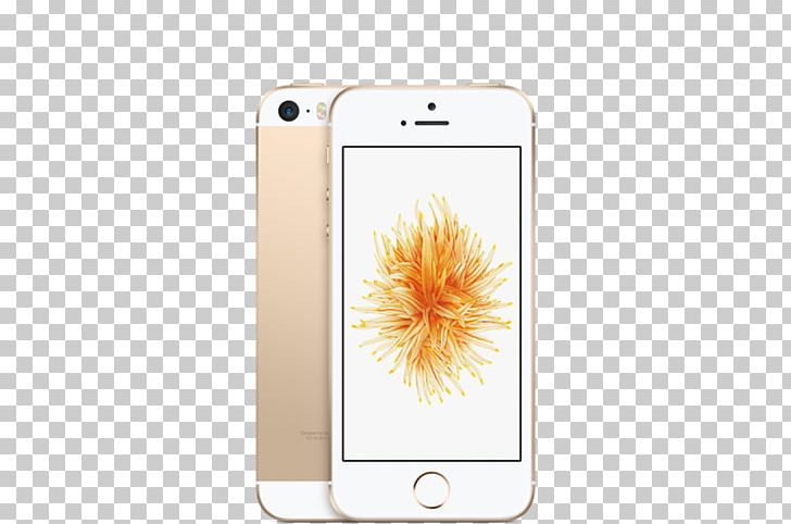 IPhone SE Apple IPhone 5s Telephone PNG, Clipart, 16 Gb, Apple, Apple Iphone, Apple Iphone Se, Computer Free PNG Download