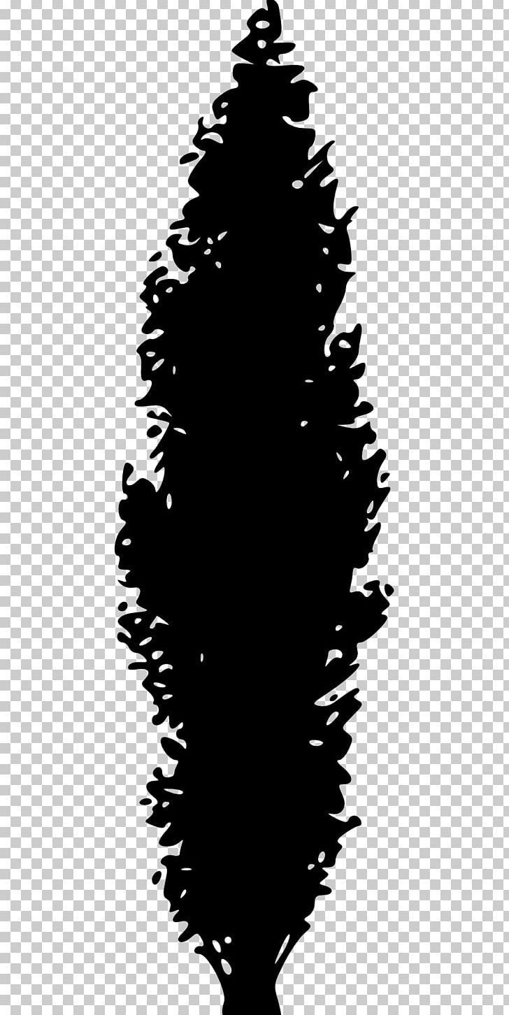 Pine Tree PNG, Clipart, Black And White, Christmas Tree, Conifer, Conifer Cone, Conifers Free PNG Download