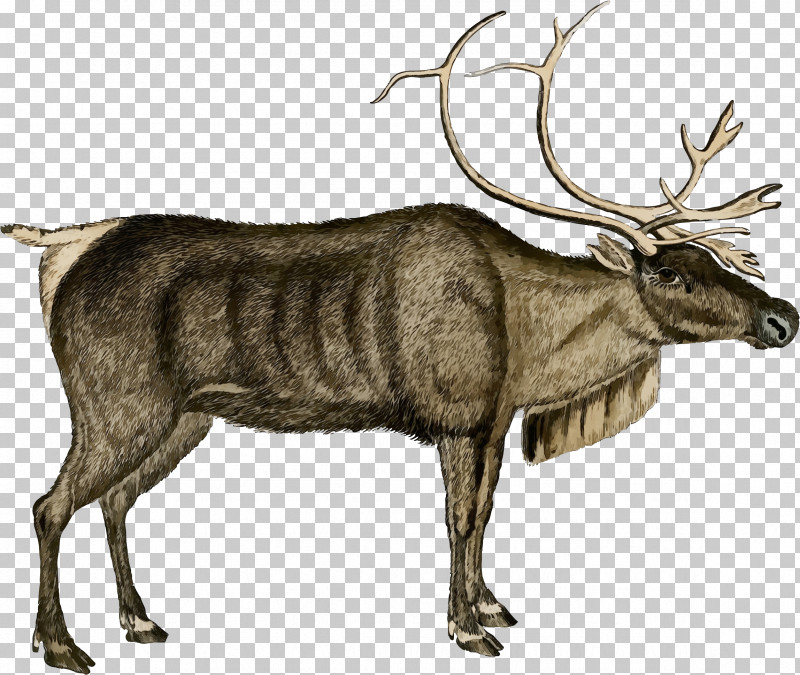 Christmas Day PNG, Clipart, Antler, Christmas Day, Elk, Exhibition, Holiday Free PNG Download