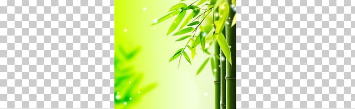 Bamboo Bamboe Leaf Green PNG, Clipart, Bamboe, Bamboo, Bamboo Leaves, Brand, Computer Wallpaper Free PNG Download