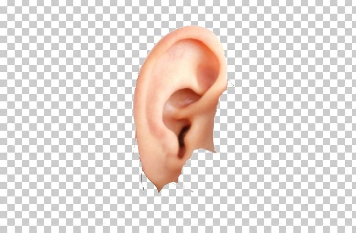 Ear PNG, Clipart, Bbcode, Cheek, Chin, Closeup, Computer Icons Free PNG Download