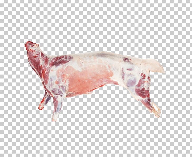 Sheep Goat Meat Lamb And Mutton Leg PNG, Clipart, Animals, Animal Slaughter, Animal Source Foods, Beef, Beef Clod Free PNG Download