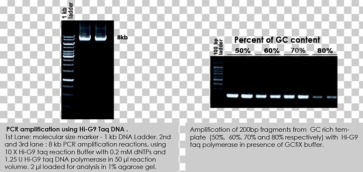 Taq Polymerase Polymerase Chain Reaction DNA Polymerase PNG, Clipart, Amines Biotech Private Limited, Bas, Brand, Dna, Dna Polymerase Free PNG Download