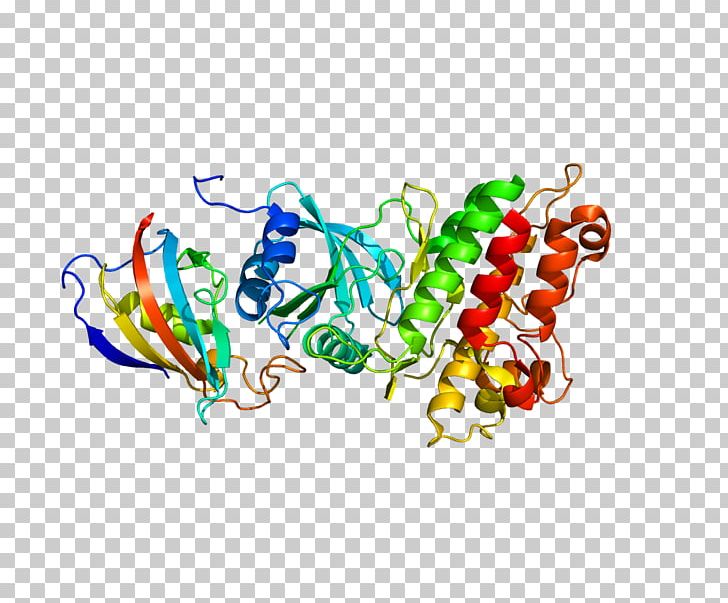 ACVR1 Bone Morphogenetic Protein Fibrodysplasia Ossificans Progressiva Activin Receptor PNG, Clipart, Activin Type 1 Receptors, Acvr1, Art, Beta Adrenergic Receptor Kinase, Body Jewelry Free PNG Download