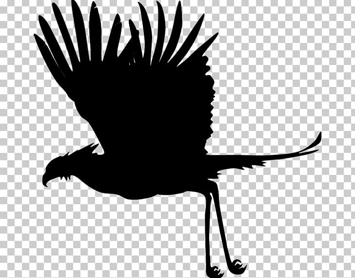 Beak Black Silhouette White PNG, Clipart, Artwork, Beak, Bird, Black, Black And White Free PNG Download