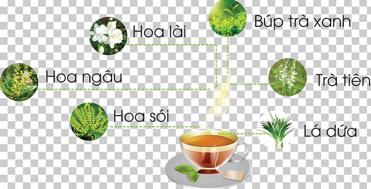 Ginseng Tea Pineapple Danang Matcha Bảo Lộc Ho Chi Minh City PNG, Clipart, Brand, Dua, Food, Food Drinks, Fruit Free PNG Download