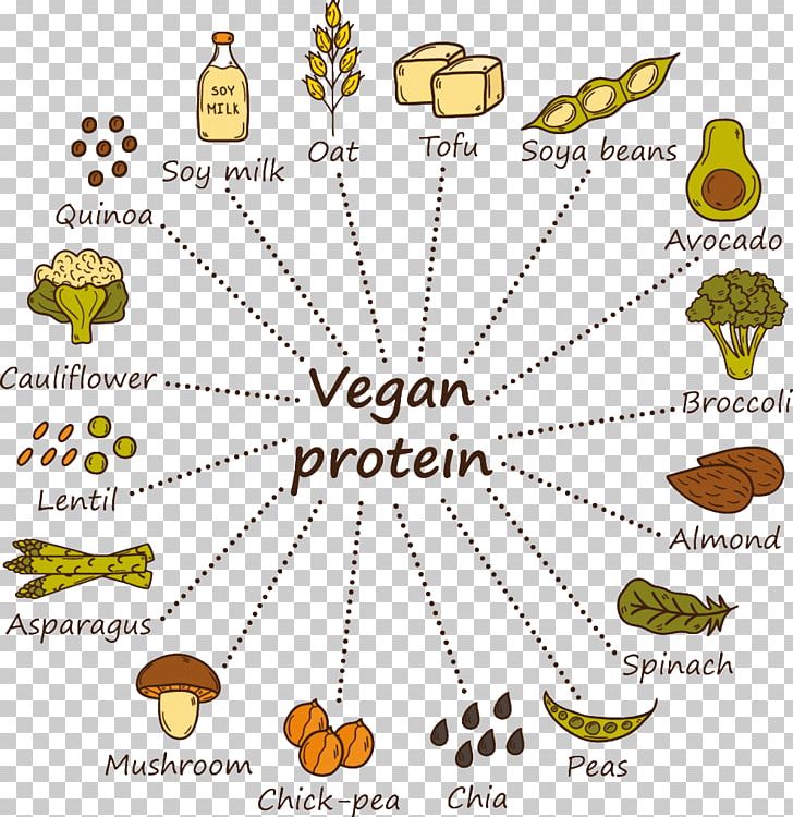 Vegan protein icons | Иллюстрации, Объекты, Еда