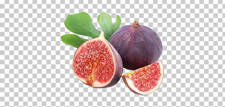 Weeping Fig Plant Fruit Tree Mission Fig PNG, Clipart, Accessory Fruit, Balsamic Vinegar, Botanical Illustration, Botany, Brown Turkey Free PNG Download