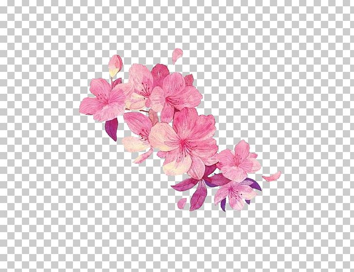 Floral Design Illustration PNG, Clipart, Auglis, Cartoon, Designer, Download, Floristry Free PNG Download