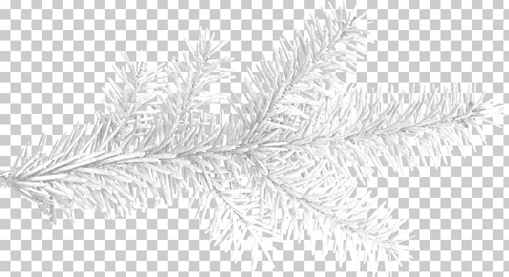 Icicle Animation PNG, Clipart, Adobe Flash, Black And White, Blog, Branch, Christmas Ornament Free PNG Download