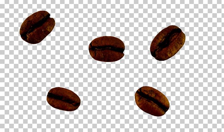 Nut PNG, Clipart, Bean, Beans, Black, Black Beans, Coffee Free PNG Download