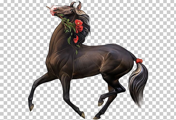 Marwari Horse Stallion Howrse Art Drawing PNG, Clipart, Art, Art Museum, Deviantart, Digital Art, Drawing Free PNG Download