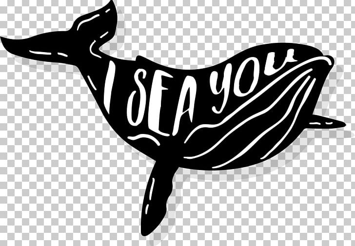 Moby-Dick Mammal Beluga Whale PNG, Clipart, Animals, Background Black, Beluga Vector, Black, Black And White Free PNG Download