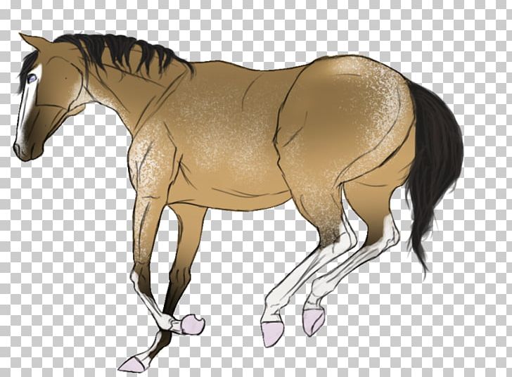 Mule Foal Stallion Halter Pony PNG, Clipart, Bridle, Colt, Cowboy Casanova, Foal, Halter Free PNG Download