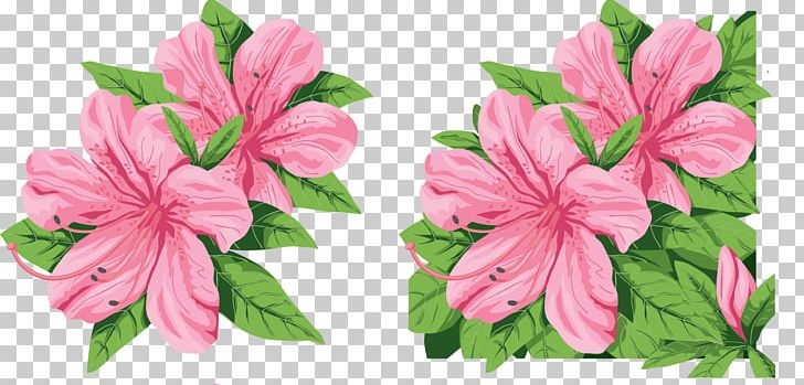 Hibiscus Flower Mallows PNG, Clipart, Annual Plant, Azalea, Com, Decoupage, Flower Free PNG Download