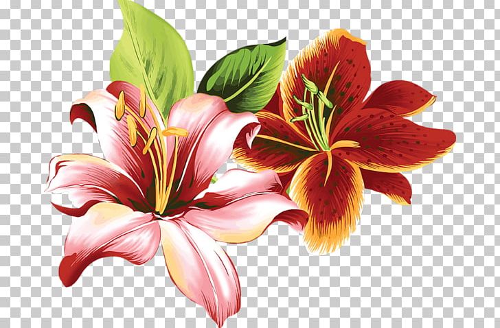 Lilium Flower Color Floral Design PNG, Clipart, Child, Color, Coloring Book, Cut Flowers, Daylily Free PNG Download