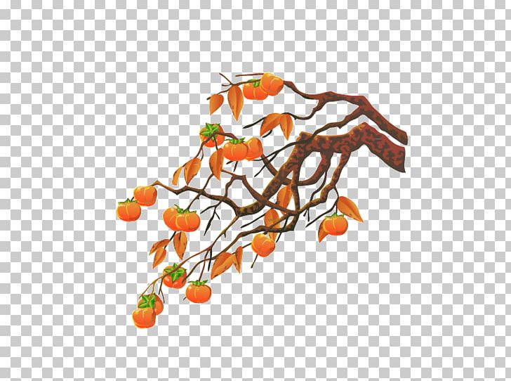 Persimmon Illustration PNG, Clipart, Balloon Cartoon, Branch, Cartoon, Cartoon Character, Cartoon Couple Free PNG Download