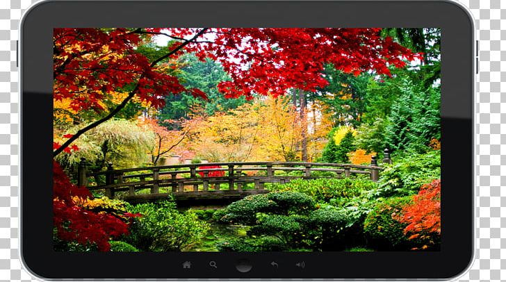 Desktop Nature Stock Photography Landscape PNG, Clipart, Autumn, Desktop Wallpaper, Flora, Flower, Flowering Plant Free PNG Download