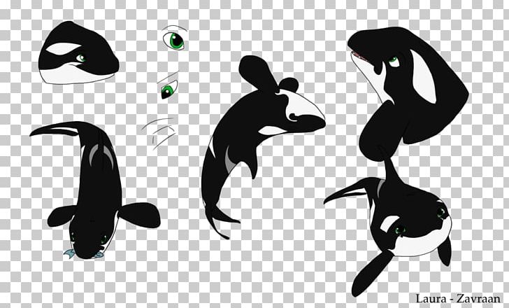 Penguin Flightless Bird PNG, Clipart, Animals, Beak, Bird, Black And White, Carnivora Free PNG Download