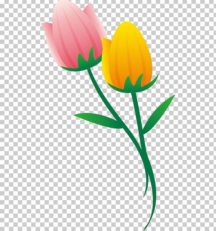 Tulip PNG, Clipart, Adobe Illustrator, Corner Flower, Decorative Motifs, Encapsulated Postscript, Flower Free PNG Download