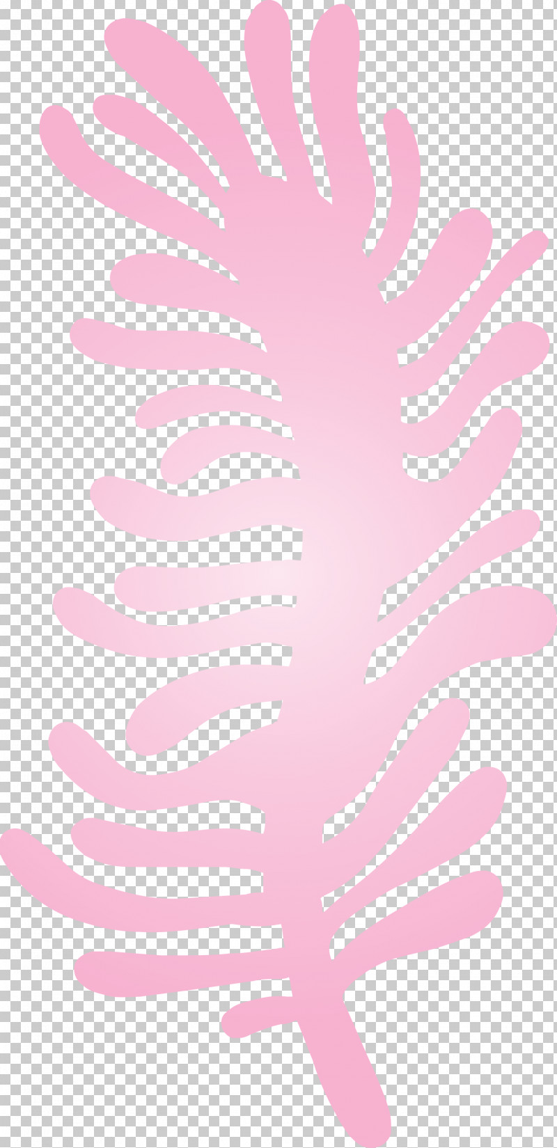 Petal Pink M Font Line Meter PNG, Clipart, Line, Meter, Petal, Pink M Free PNG Download