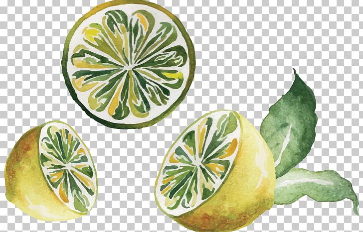 Watercolor Painting Drawing Lemon PNG, Clipart, Ceramic, Citrus, Color, Dishware, Download Free PNG Download