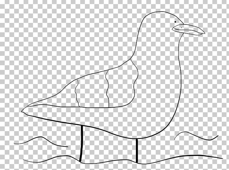 Beak Drawing Line Art Water Bird PNG, Clipart, Anatidae, Area, Art, Artwork, Beak Free PNG Download