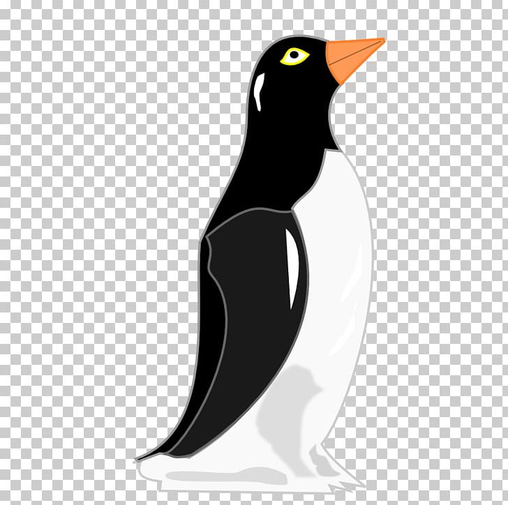 Penguin Bird PNG, Clipart, Animals, Beak, Bird, Drawing, Flightless Bird Free PNG Download