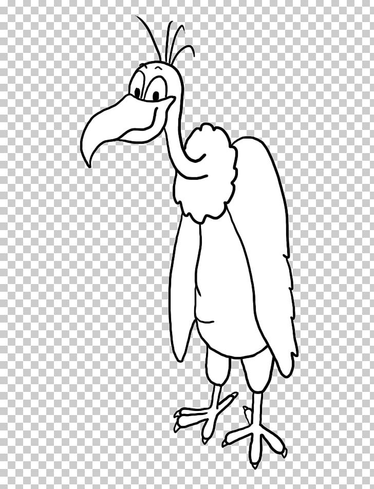 Water Bird Drawing Chicken Galliformes PNG, Clipart, Angle, Animal, Animal Figure, Animals, Area Free PNG Download